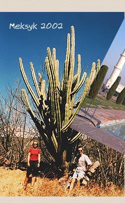 Meksyk 2002
